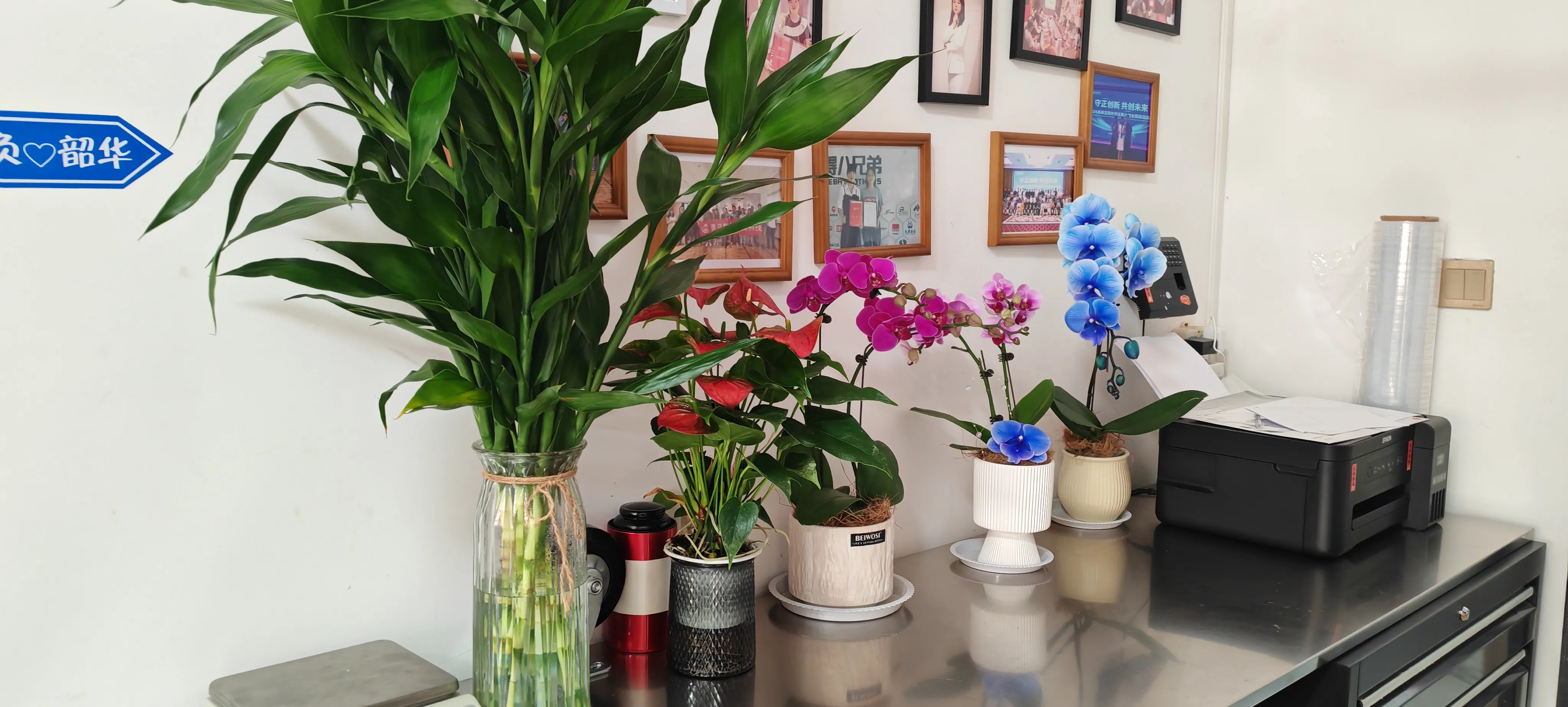 Chào mừng những người bạn mới của JOJO Pack!