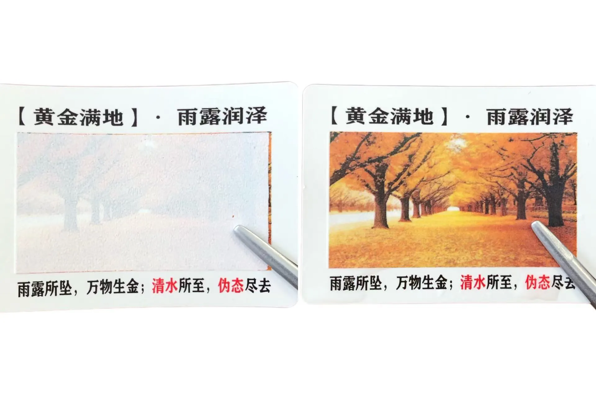 Bạn có biết nhãn nhạy cảm với nước thay đổi màu sắc?