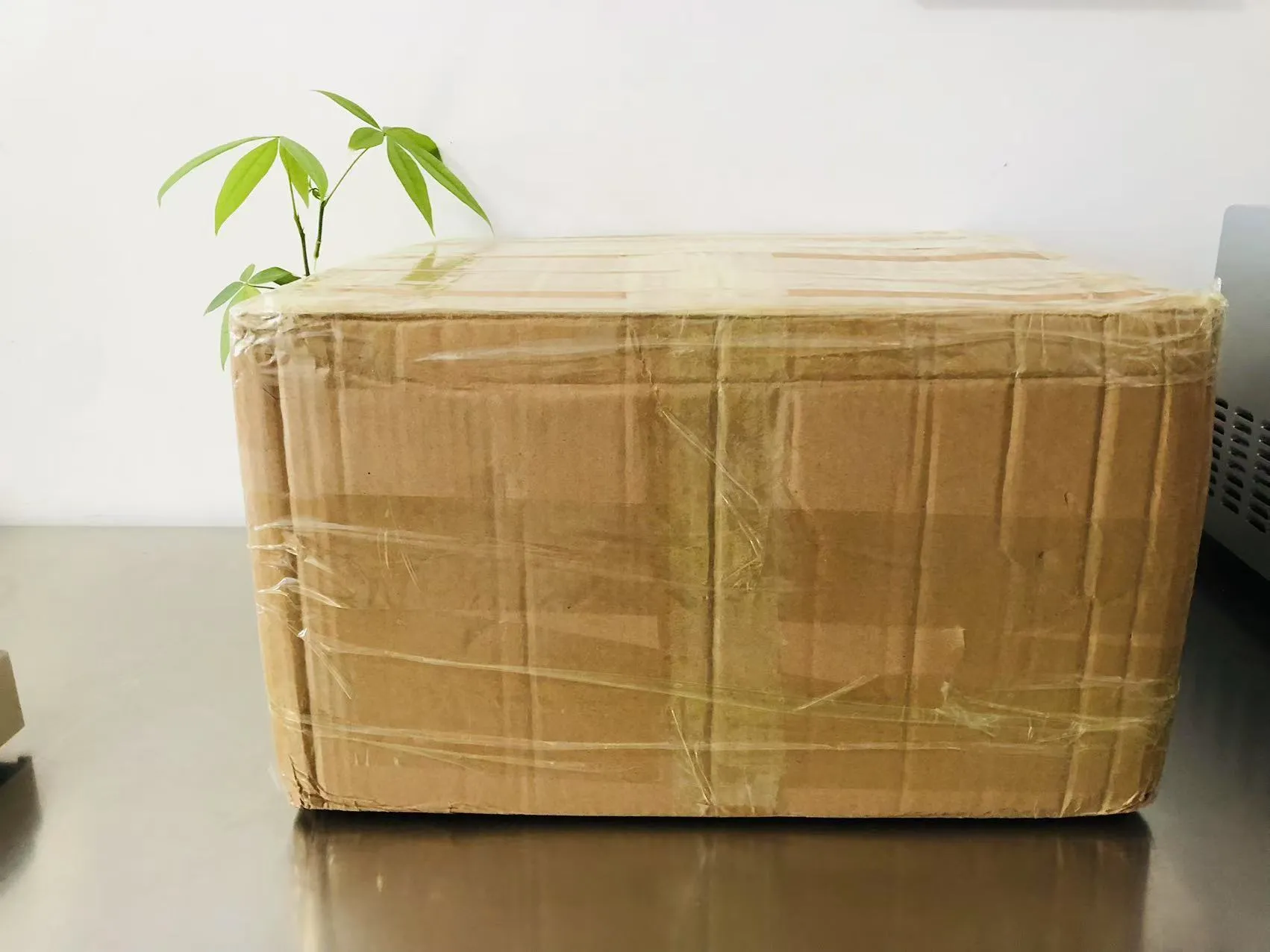 Nhãn dán Epoxy rắn hoạt hình hiện đang trên đường đến Nhật Bản